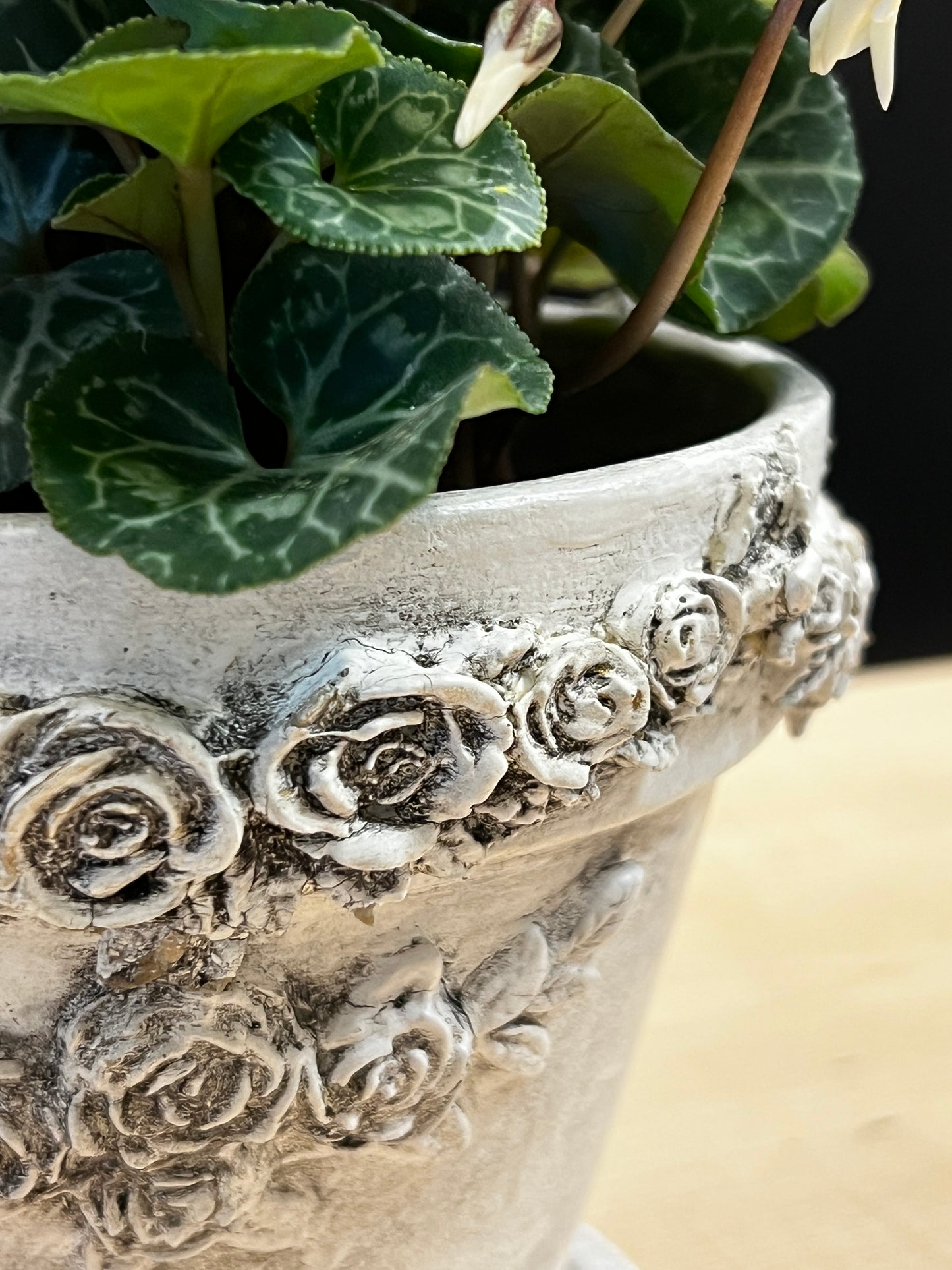 Magnolia Flexible Mouldings-Rose garlands
