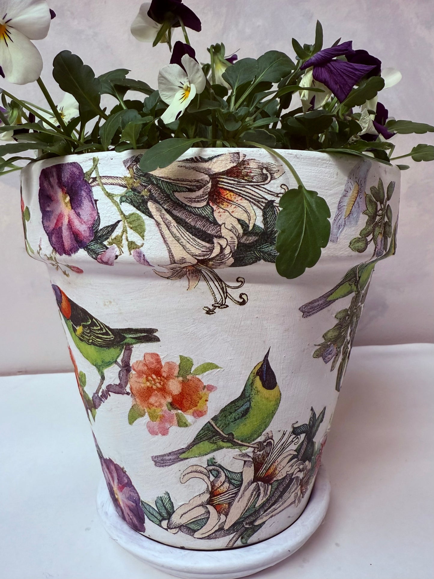 Napkin-Beautiful Birds & Tropical flowers