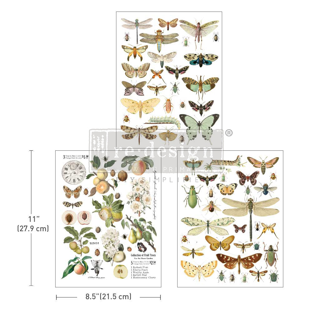 Redesign Decor transfer-Bug Whisperer-NEW MIDDY SIZE