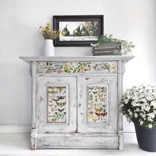 Redesign Decor transfer-Bug Whisperer-NEW MIDDY SIZE