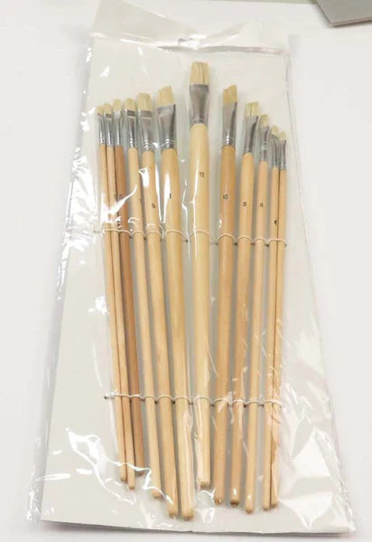 Hog Bristle brush set of 12