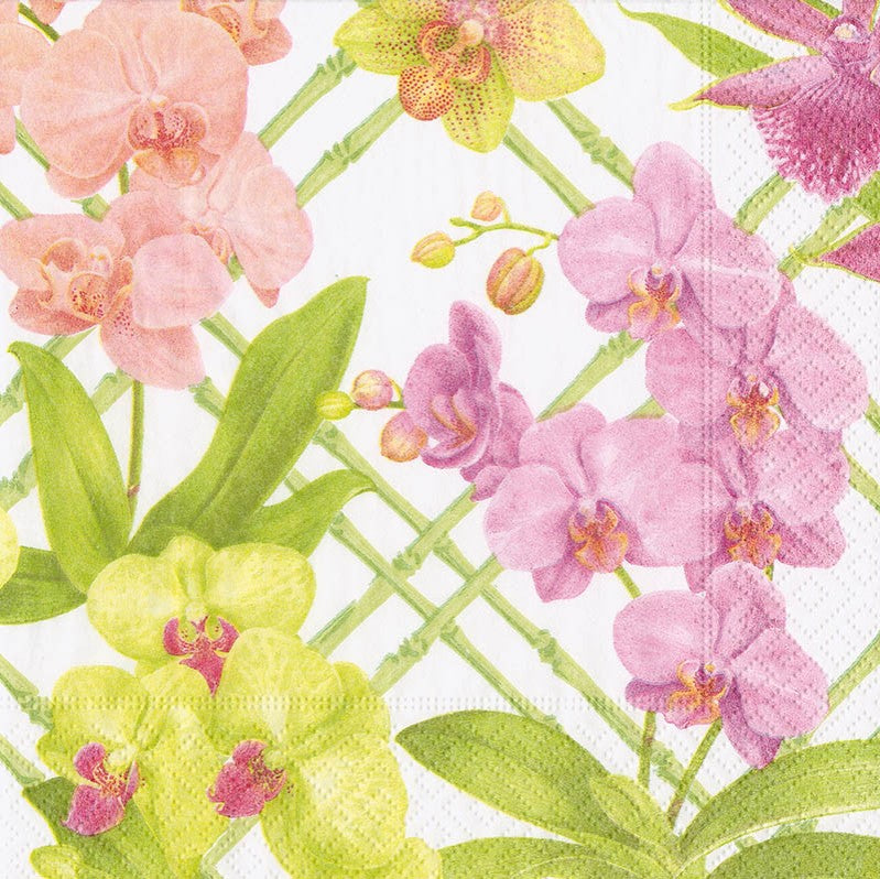 Designer Napkin-Orchid Conservatory