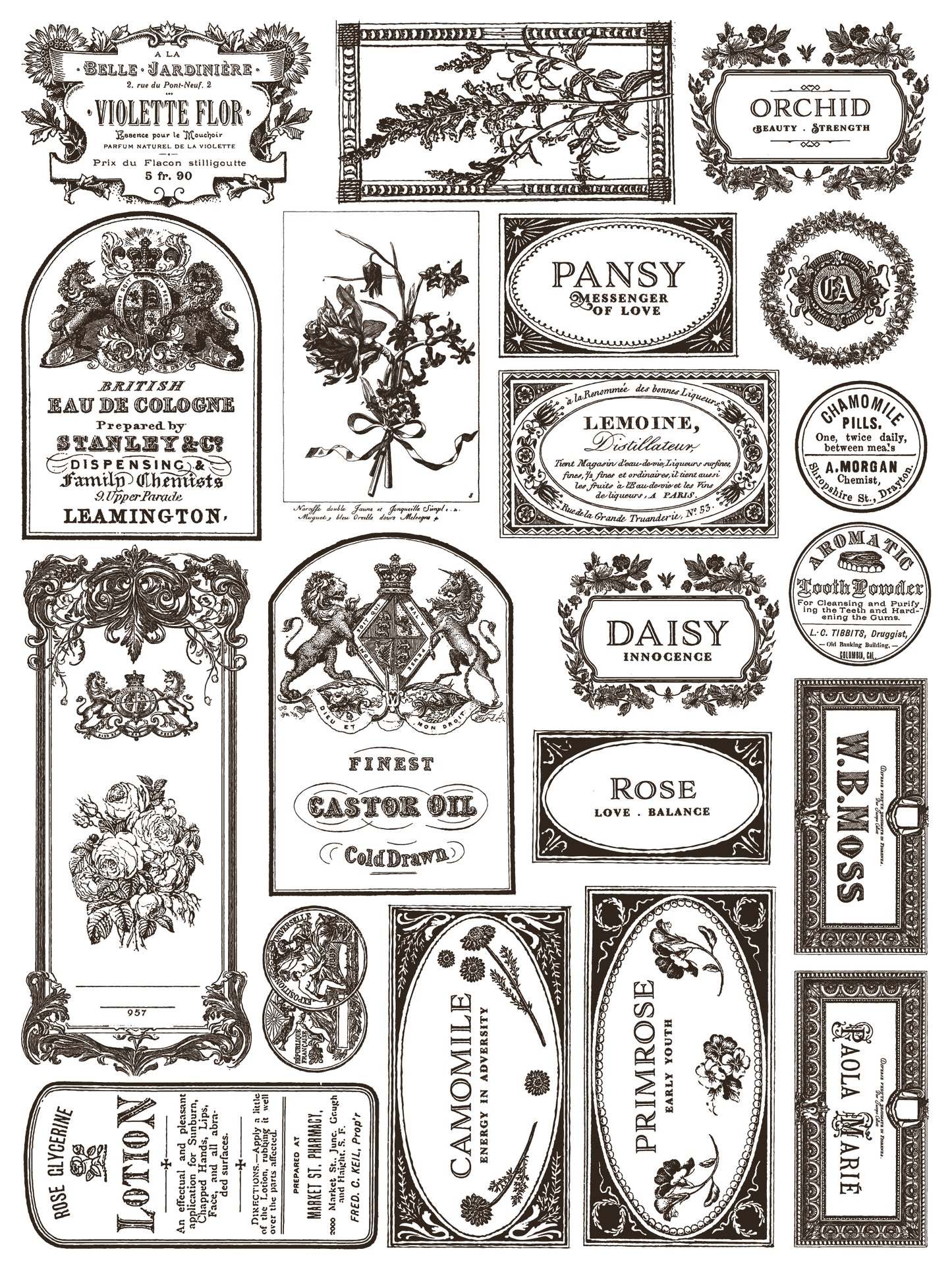 NEW: IOD Paint -Floriography