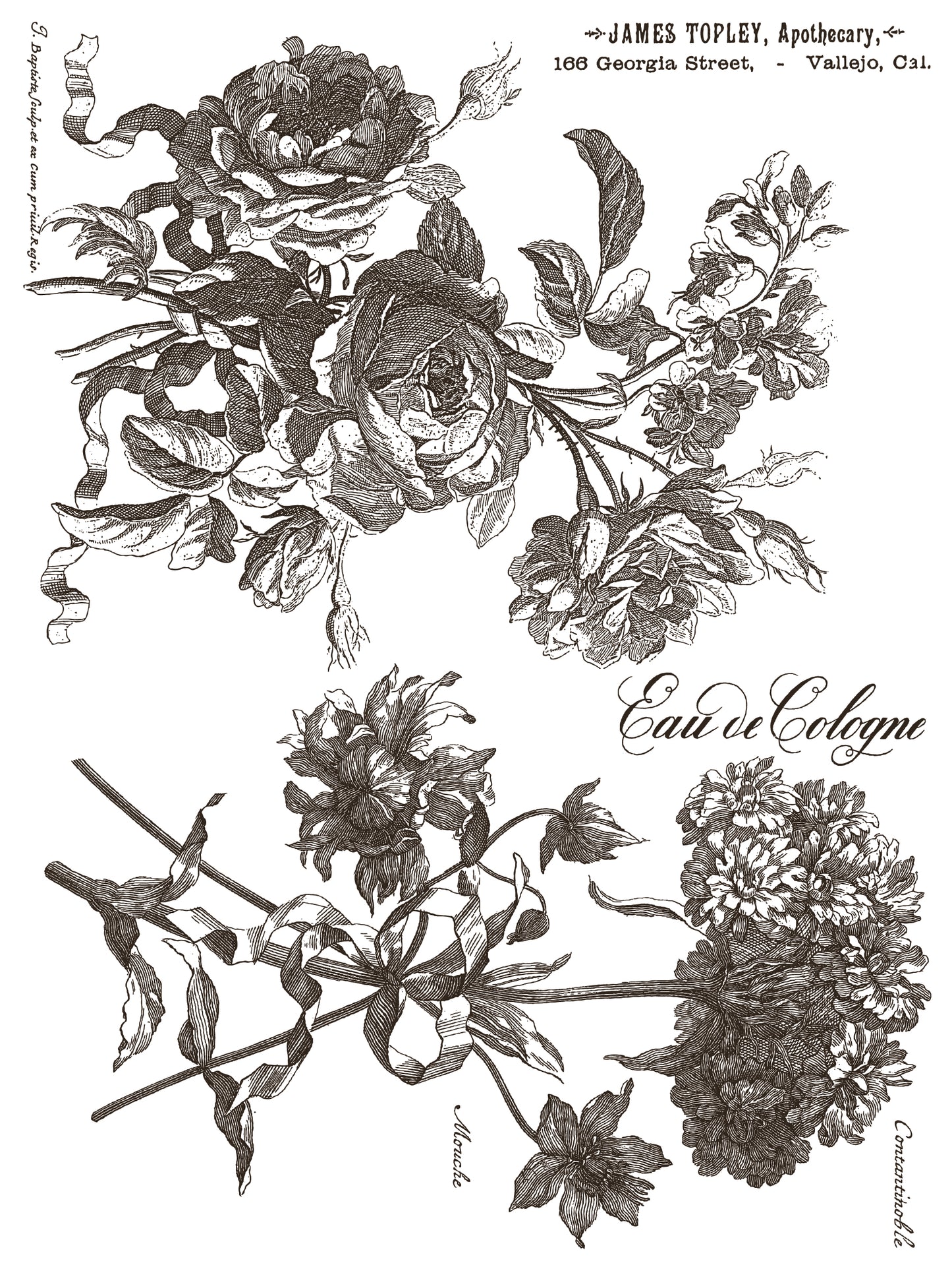 NEW: IOD Paint -Floriography