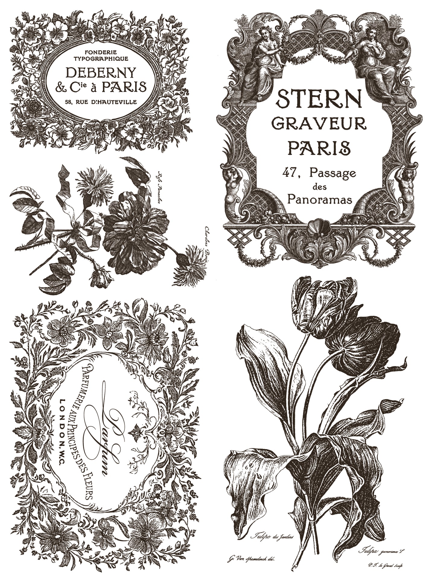 NEW: IOD Paint -Floriography