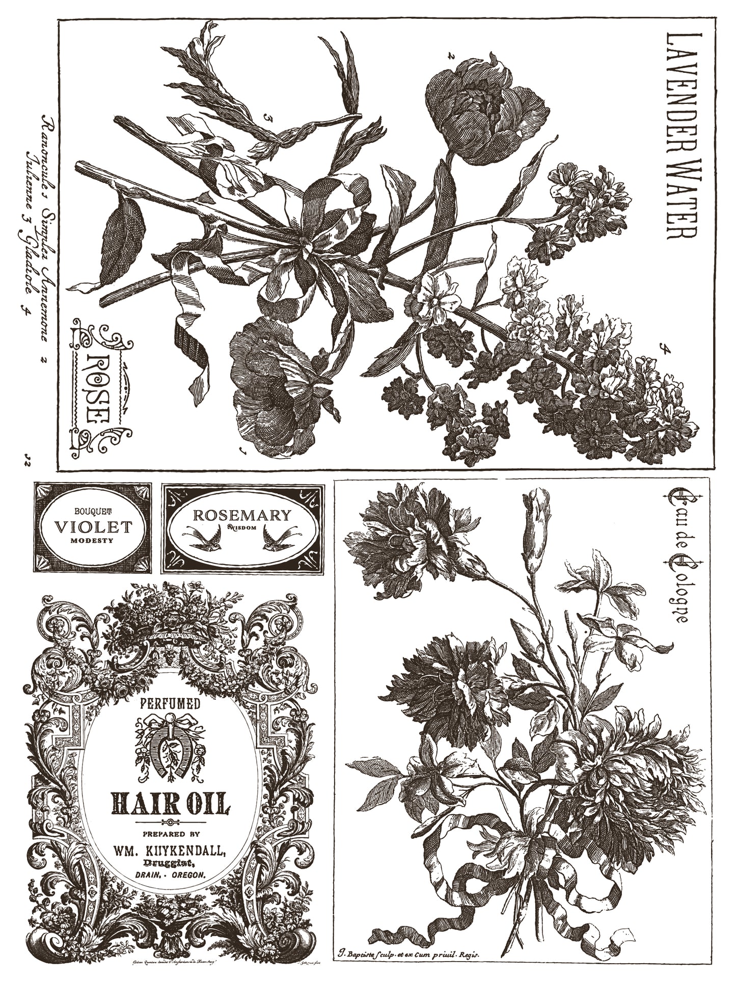 NEW: IOD Paint -Floriography