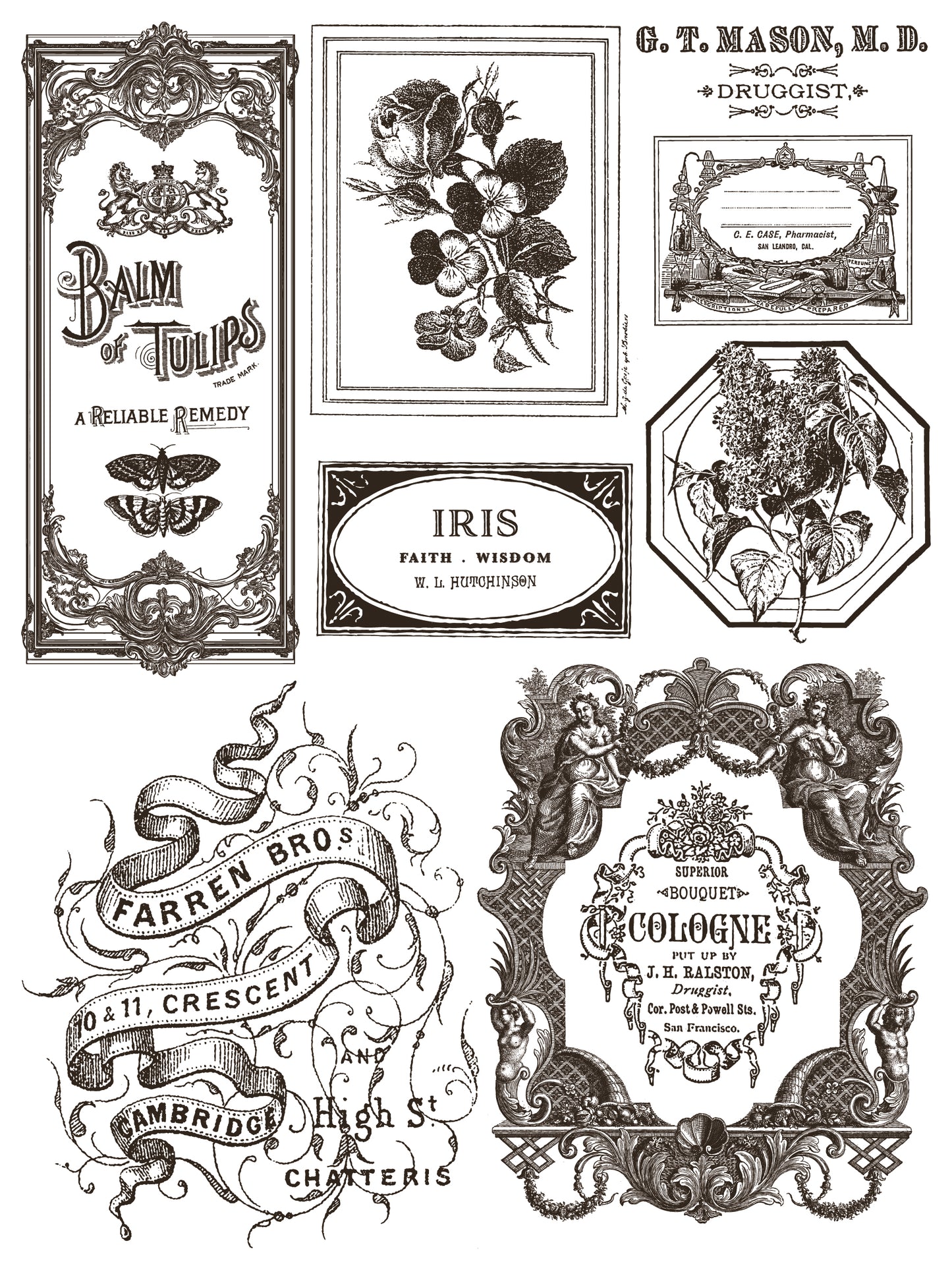 NEW: IOD Paint -Floriography