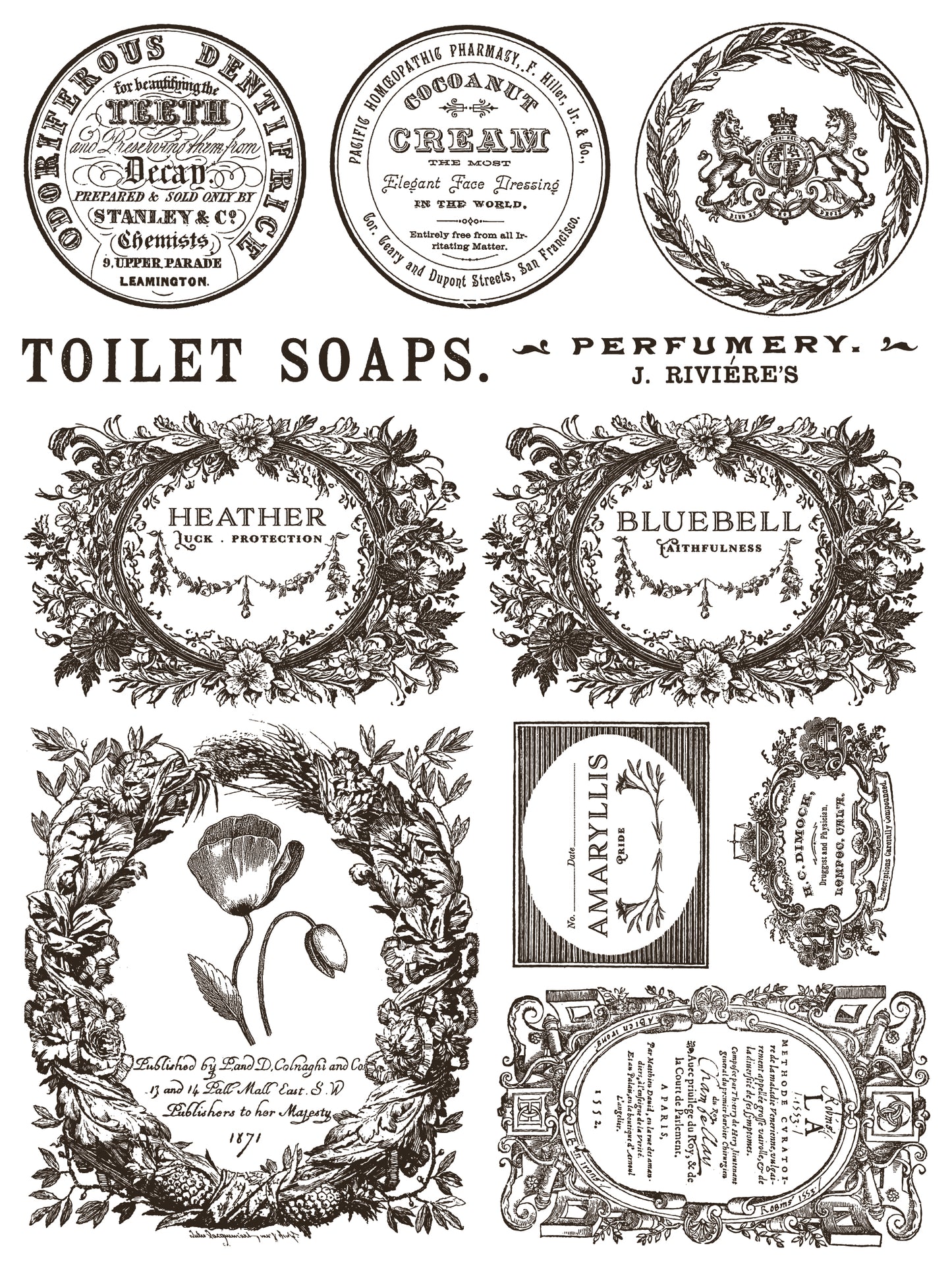 NEW: IOD Paint -Floriography