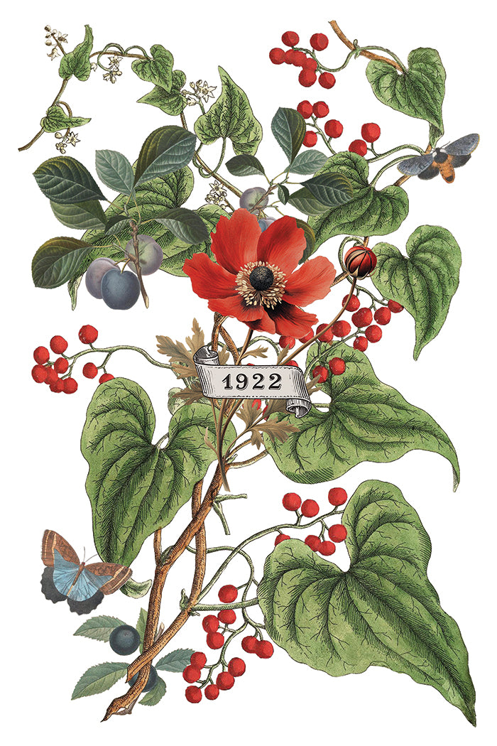 NEW: IOD Transfer-Clementine. ONLY 2 left!