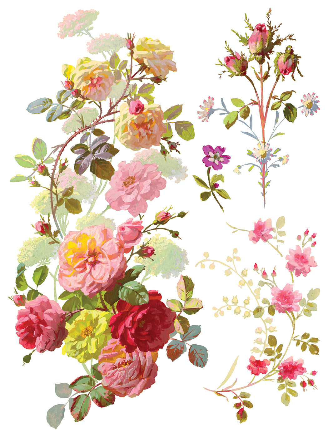 IOD Transfer-Saint Germain