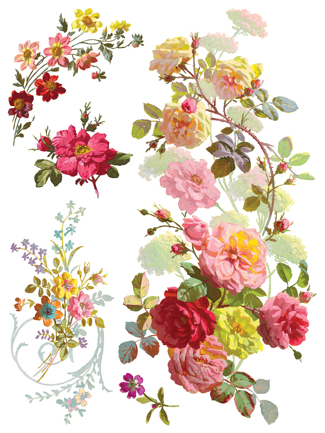 IOD Transfer-Saint Germain