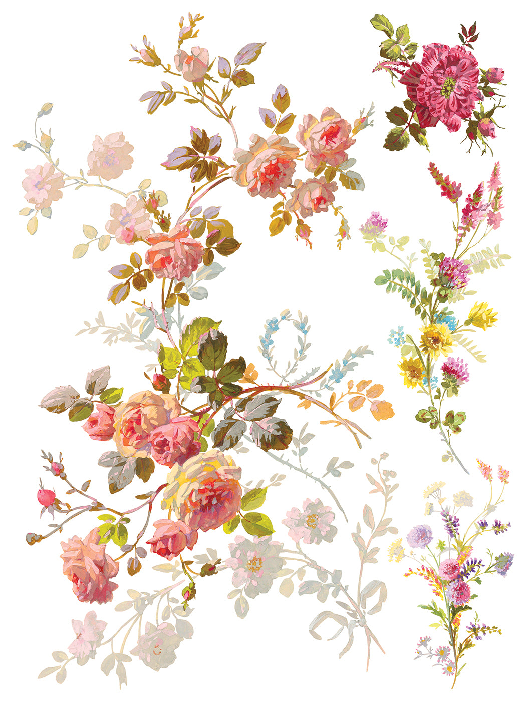 IOD Transfer-Saint Germain