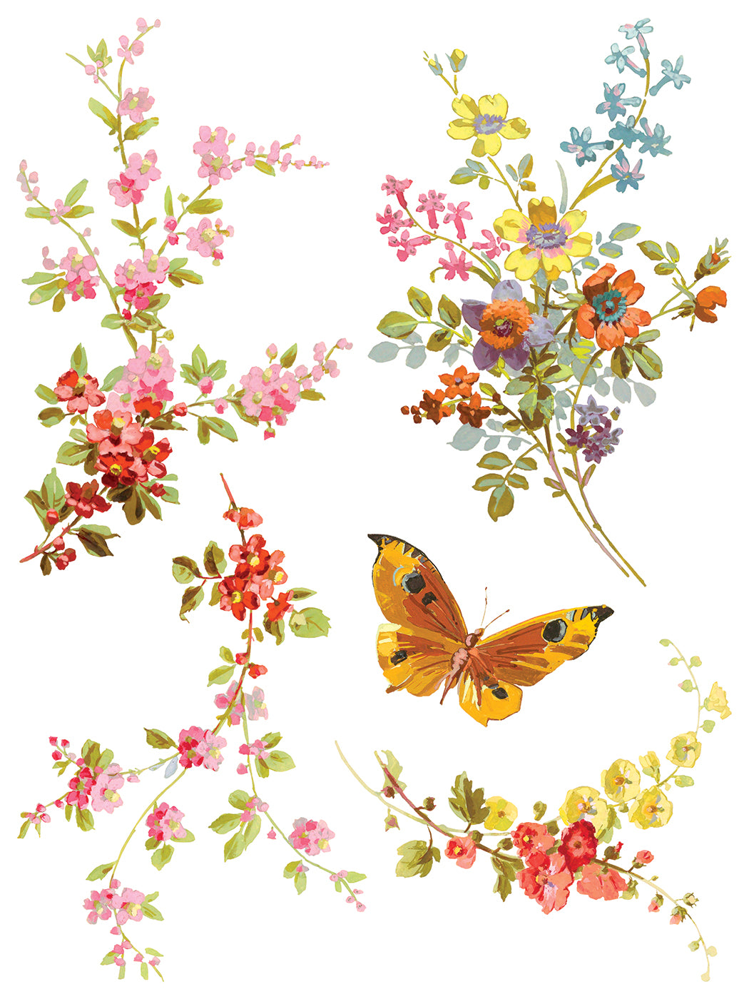 IOD Transfer-Saint Germain