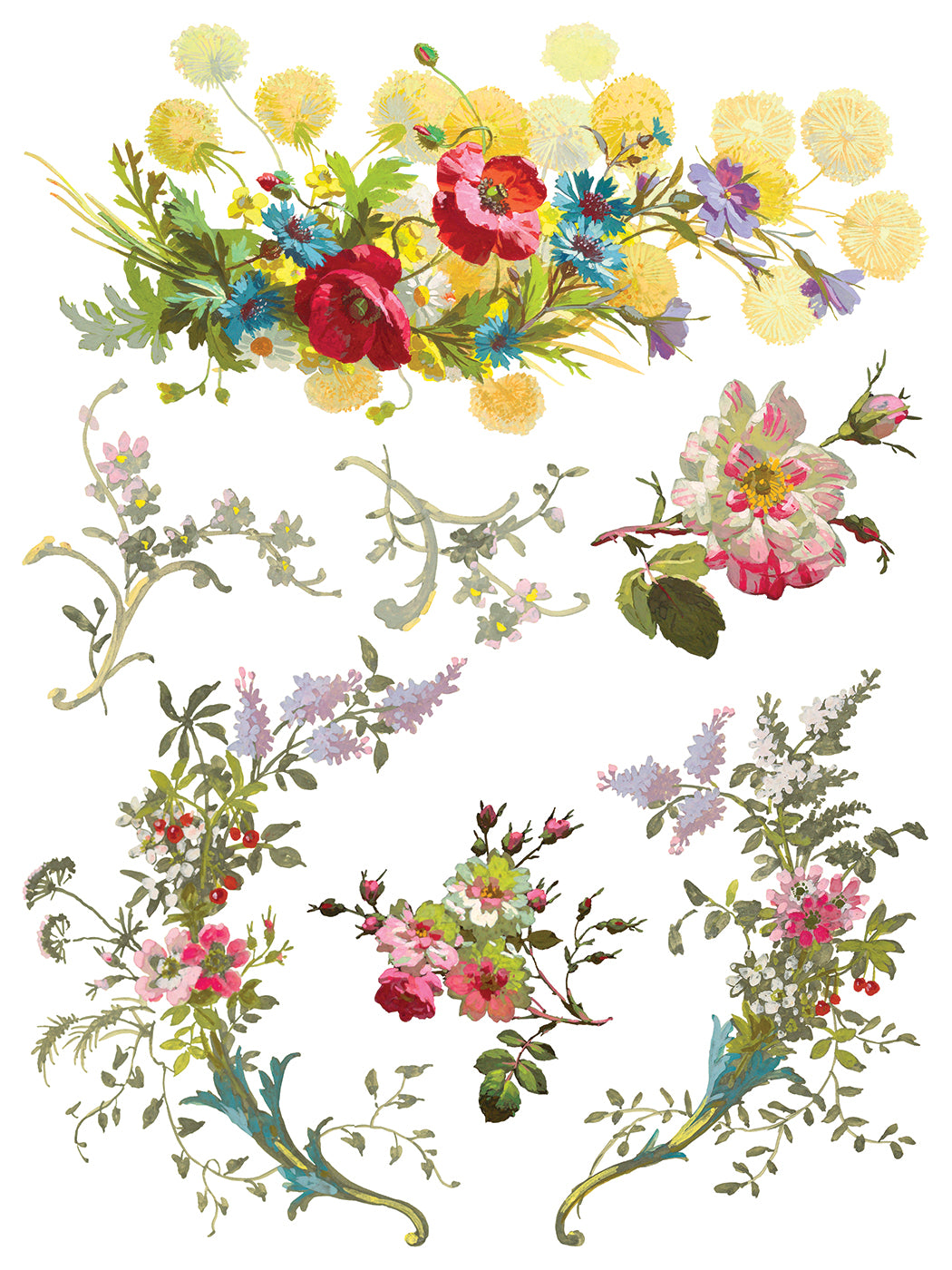 IOD Transfer-Saint Germain