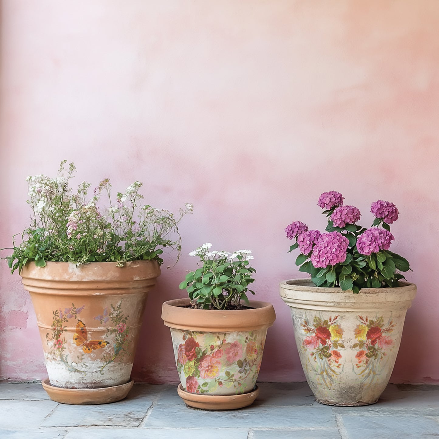 IOD Transfer-Saint Germain