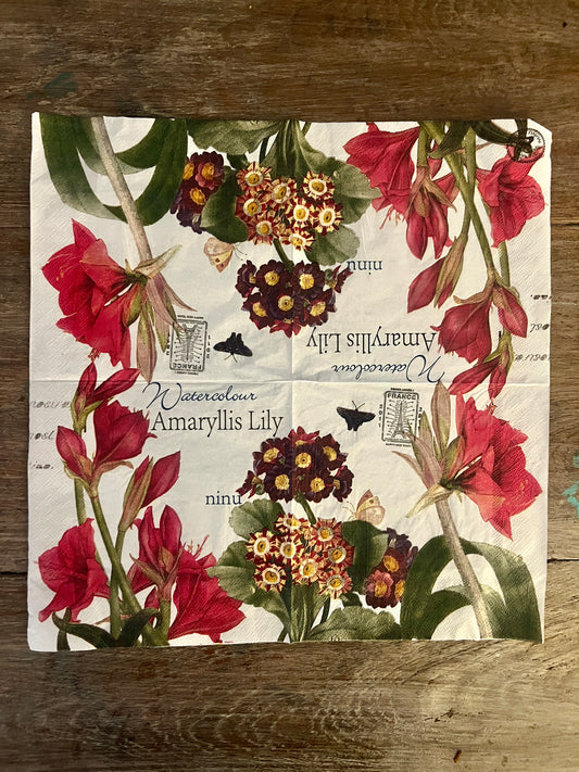Napkin Tissue-Amaryllis Lily