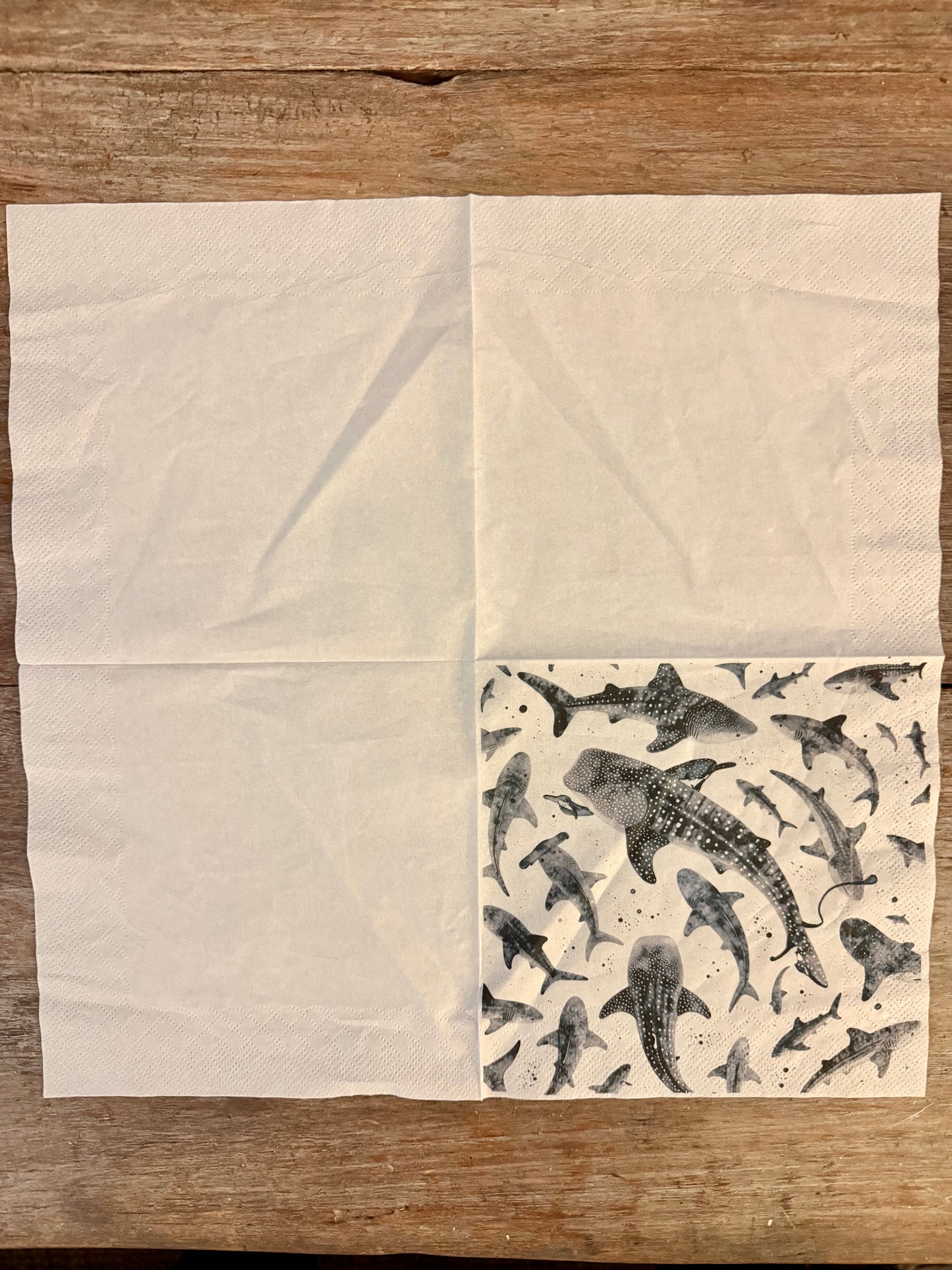 Napkin-Shark Swim