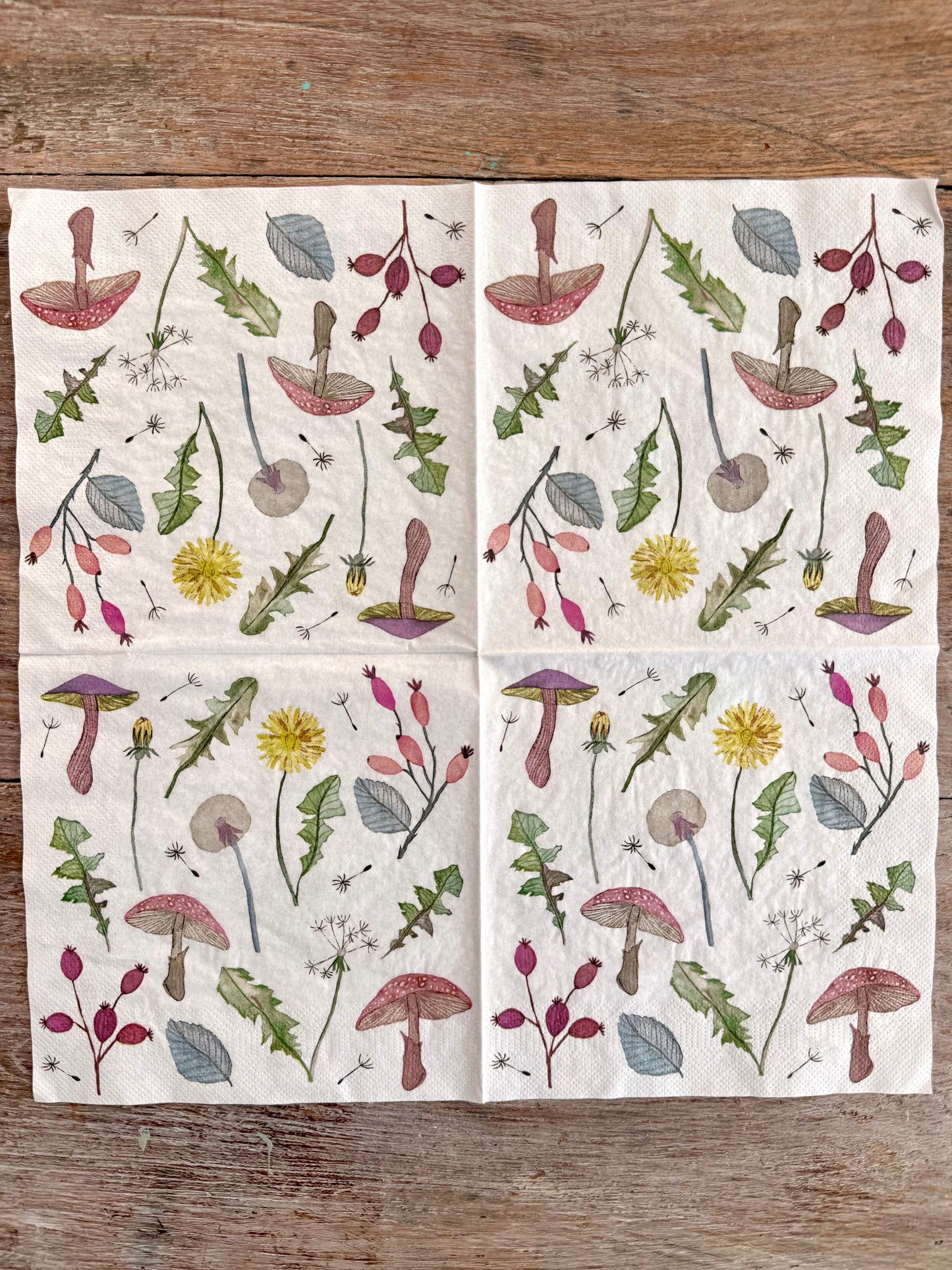 Napkin Paris-Forager Delights-French Collection