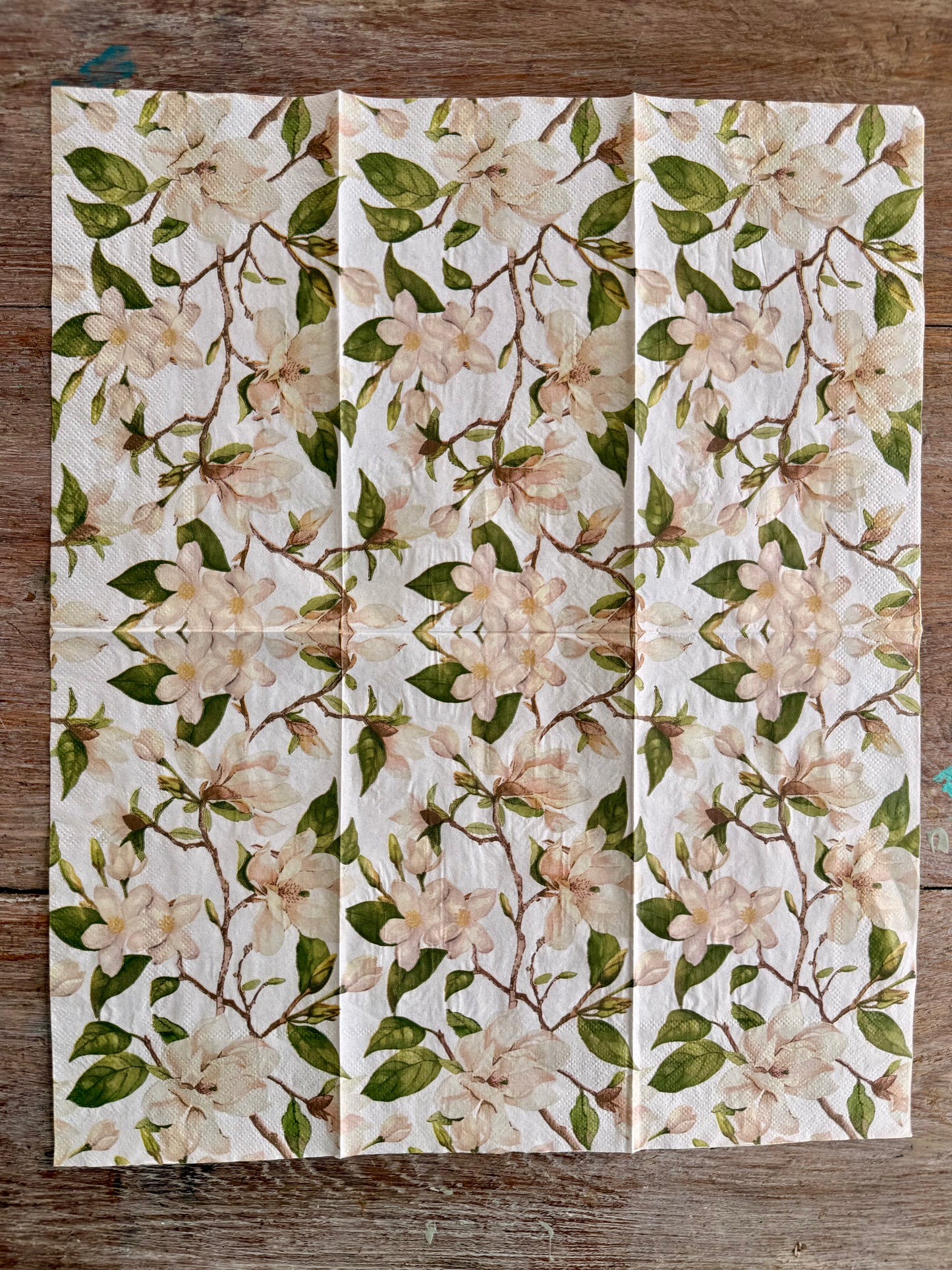 Napkin-Magnolia Dreams
