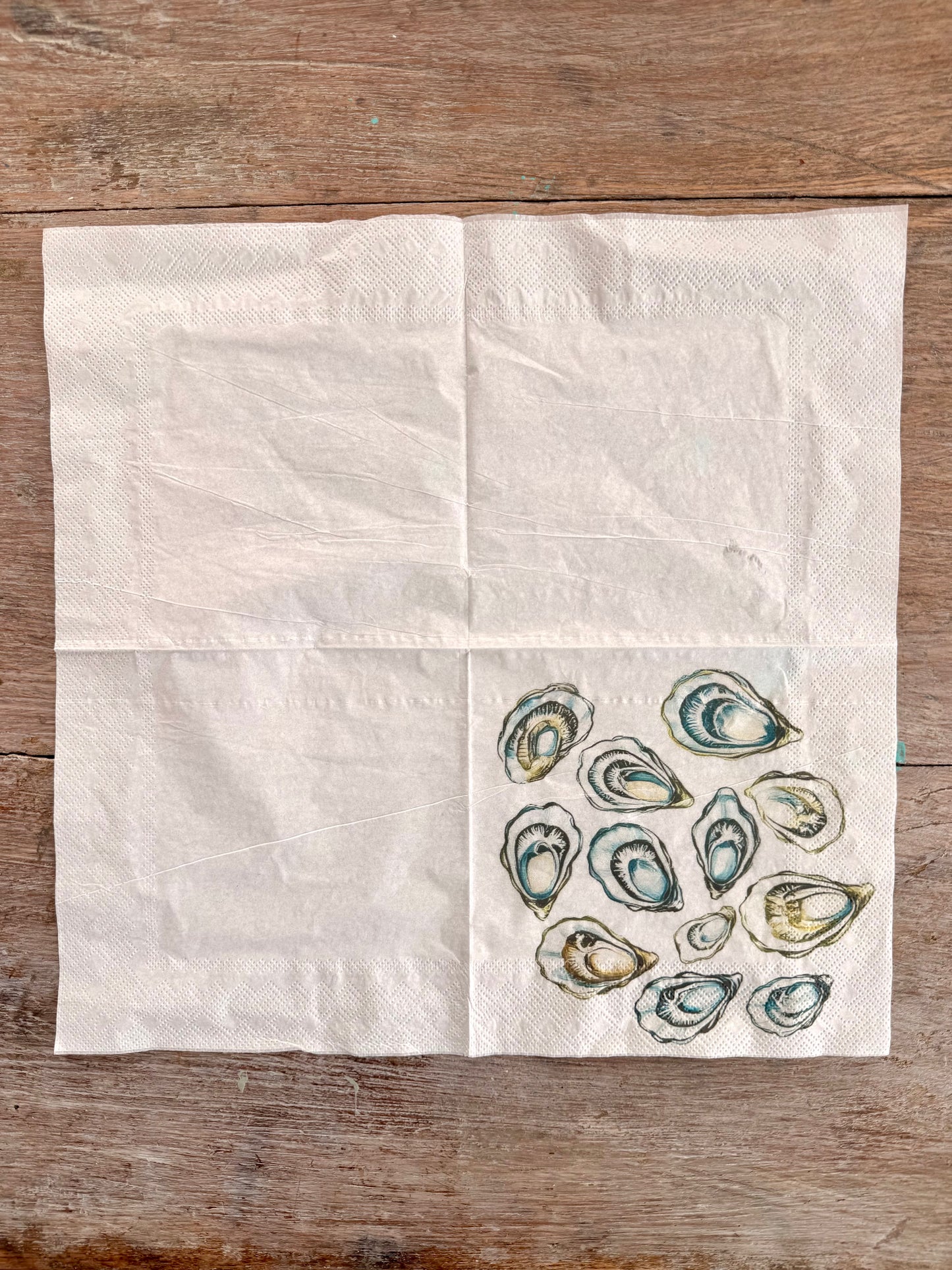 Napkin-Oyster Collection