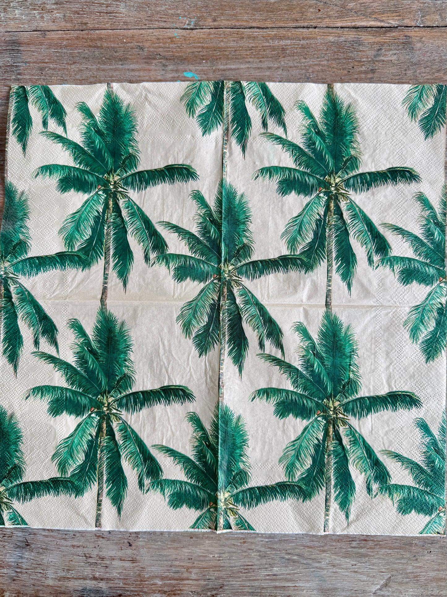 Palms