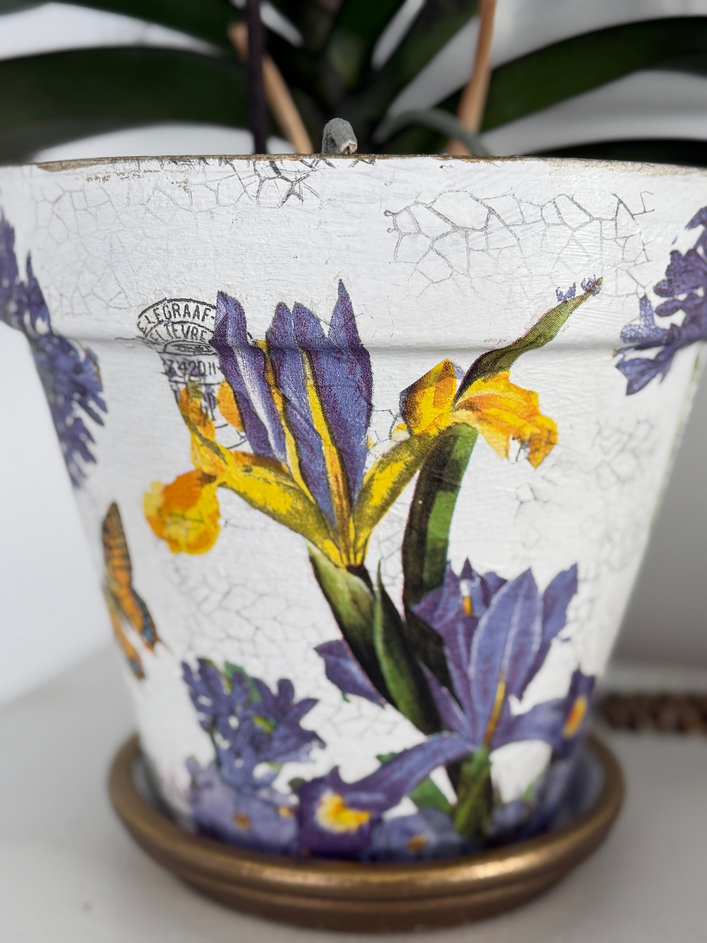 Napkin Tissue-Iris Monarch Butterflies
