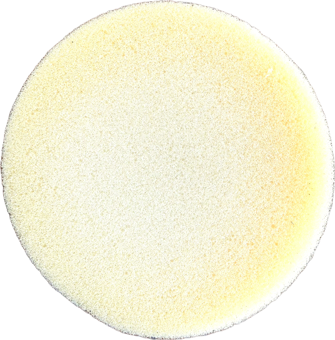 Sponge-Lge