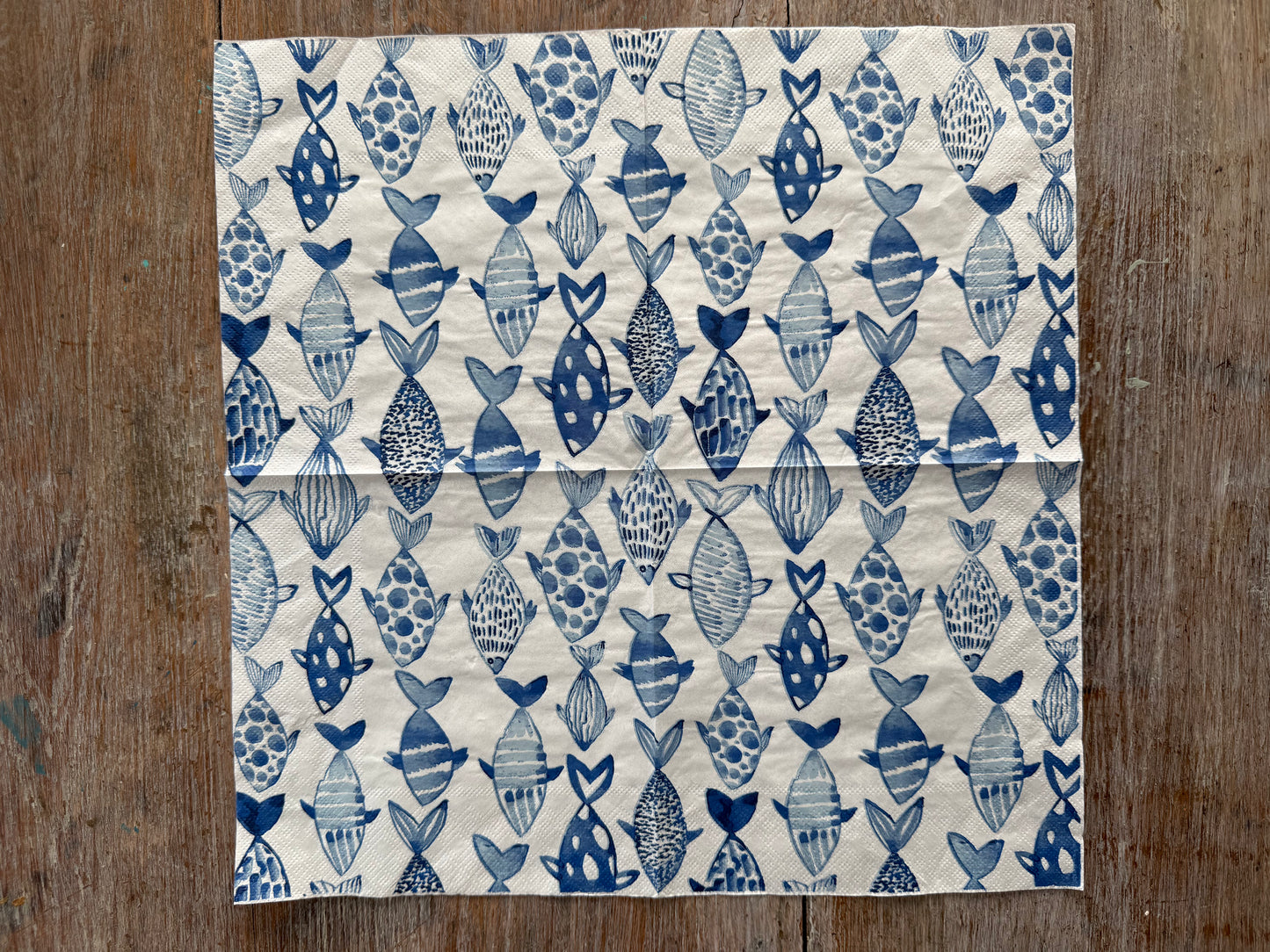Napkin-Blue Fish school