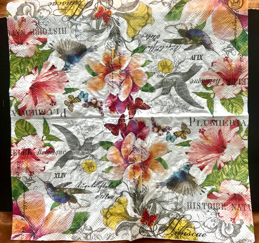 Napkin-Hummingbirds in tropical garden.