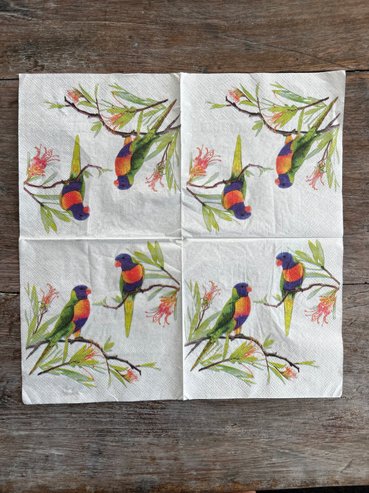 Napkin-Colorful Rosella