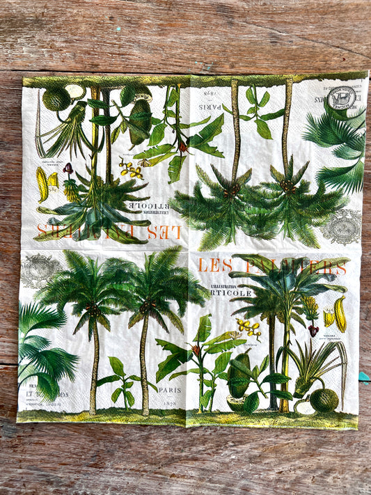 Napkin tissue-Les Palmiers