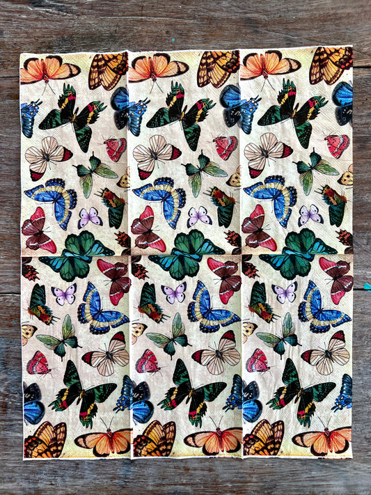 Napkin Tissue-Butterfly splendour