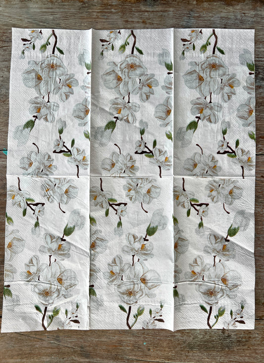 Napkin Tissue -Magnolia branch