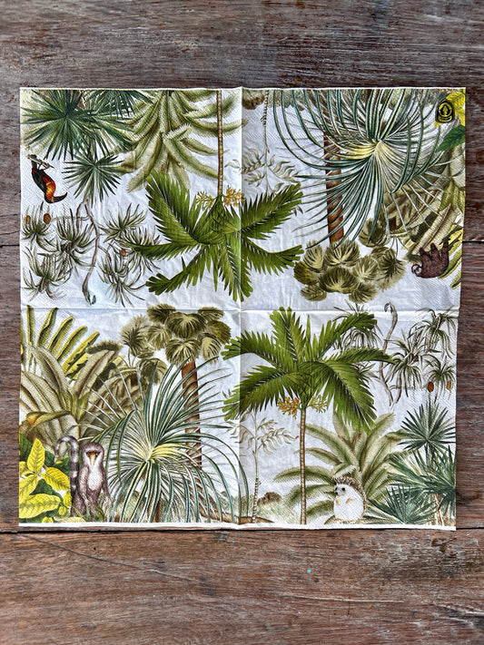 Napkin-Palm Tree Kingdom