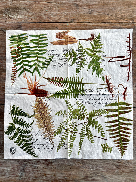 Napkin Tissue-Greenery