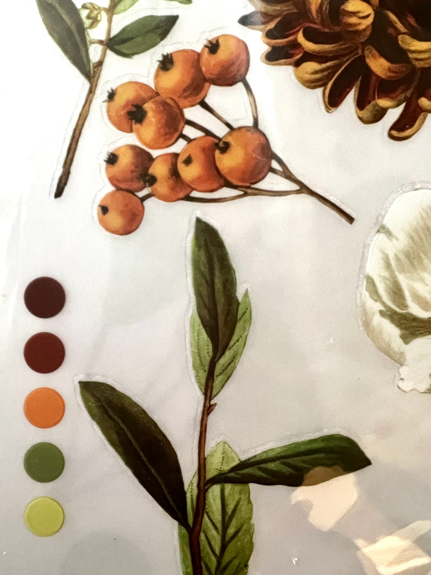 Redesign Decor Transfer-Seasonal Splendour-NEW MIDDY SIZE