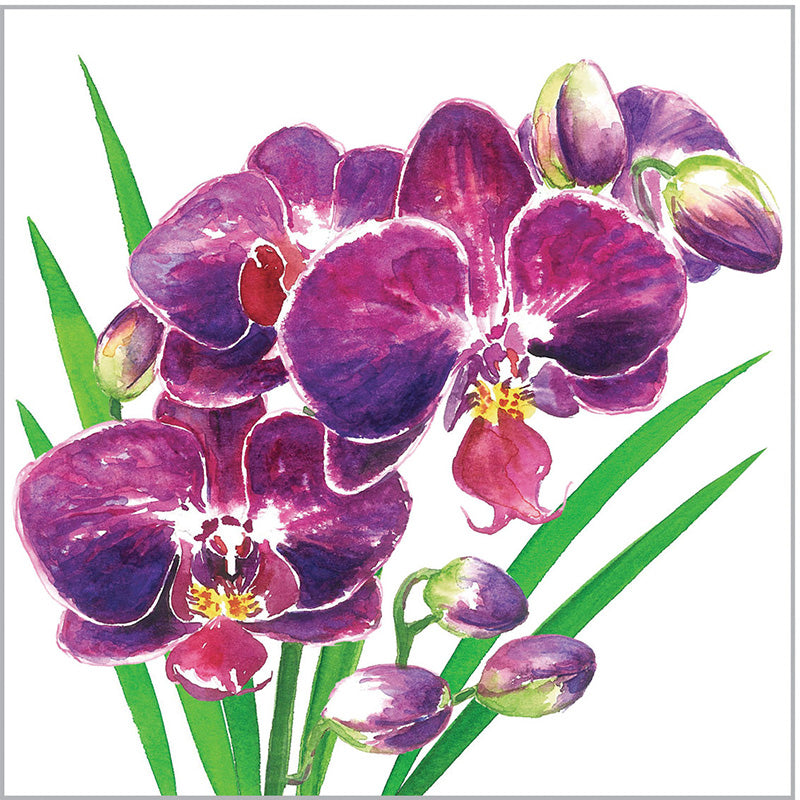 Designer Napkin-Orchidea