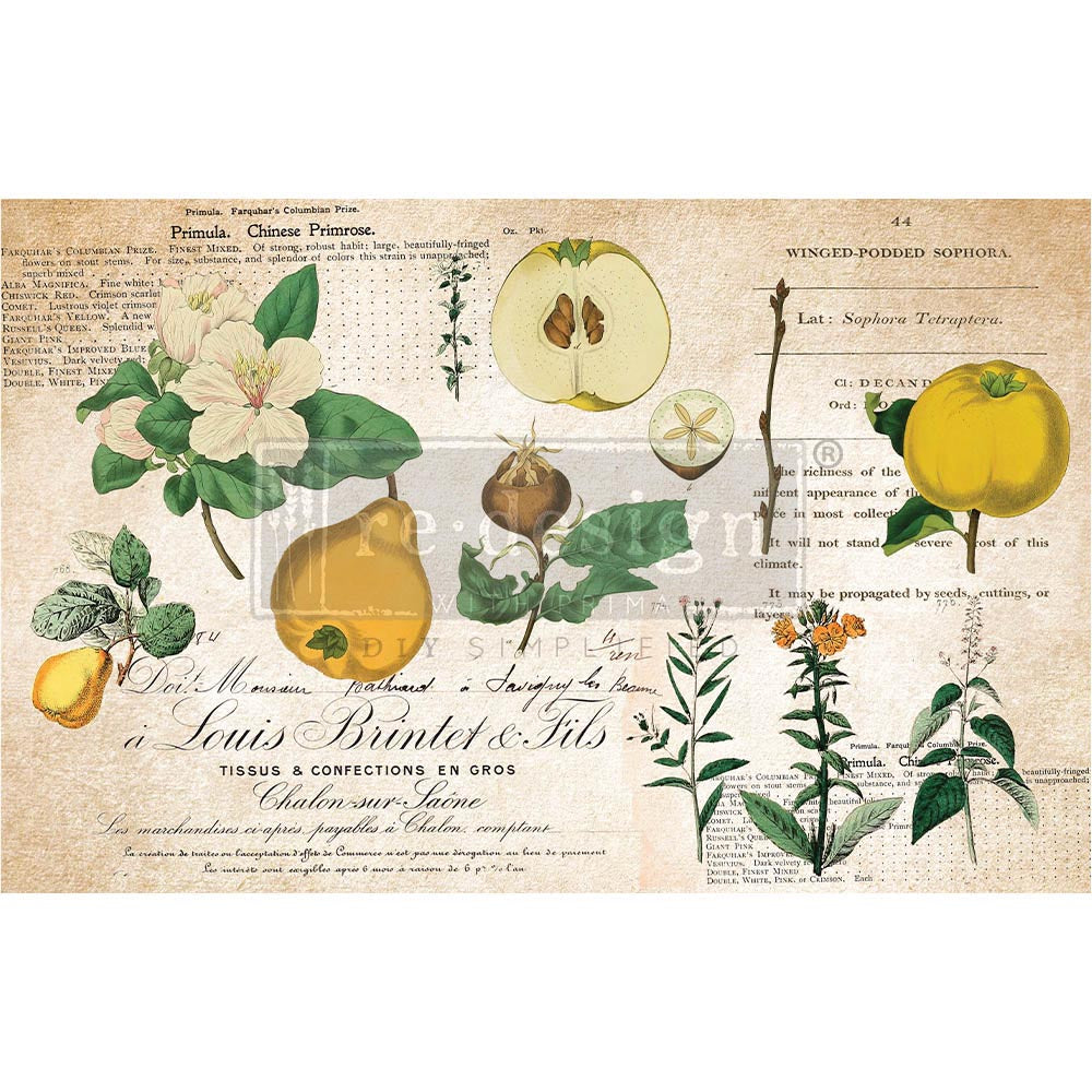 ReDesign Fiber Tissue -Primrose Botanical