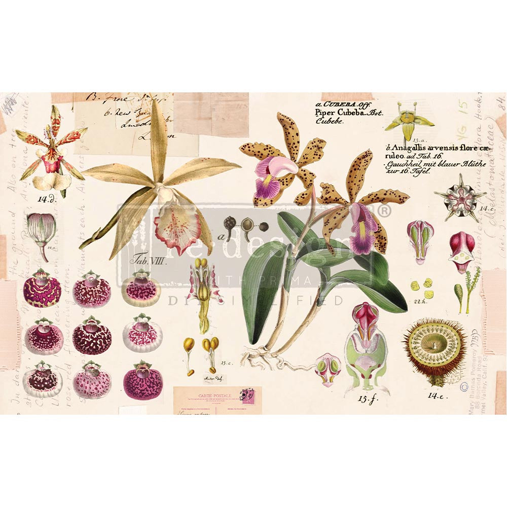 ReDesign Fiber Tissue -Purple Beauty