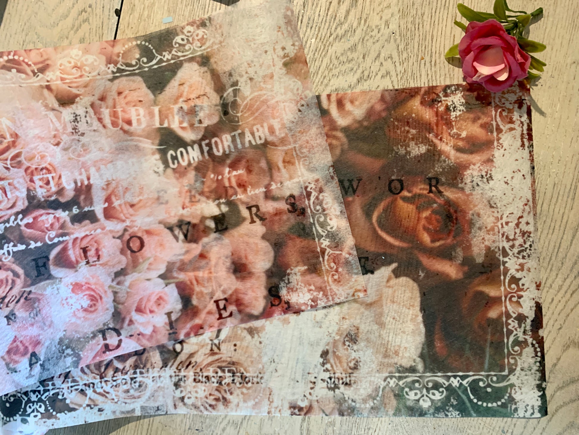 angelic rose garde redesign