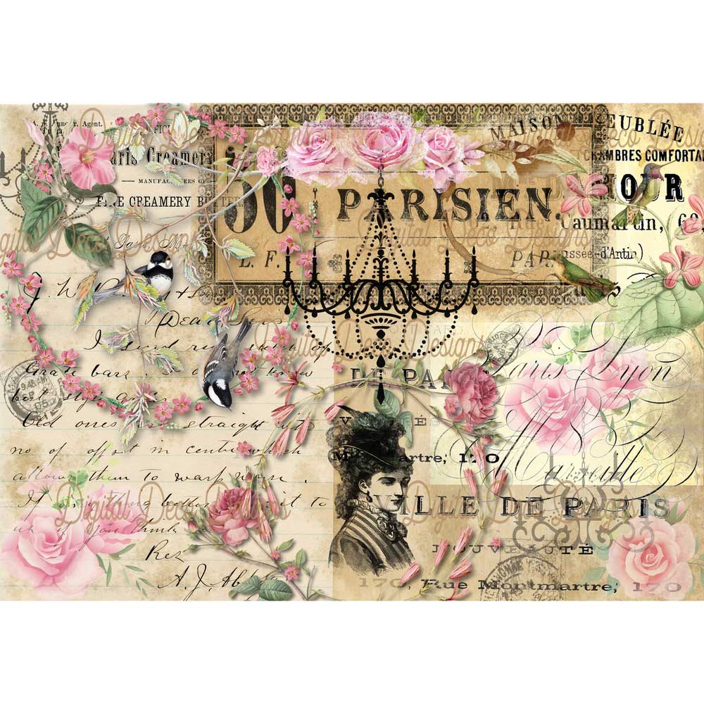 Rice paper - Take me to Pah ree NEW