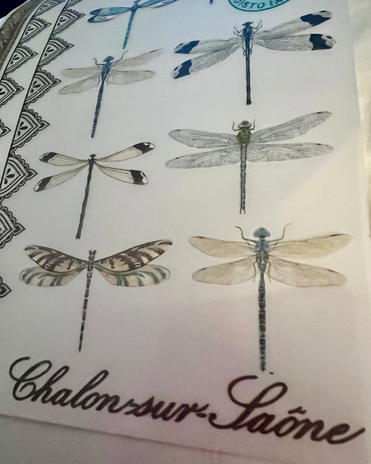 Redesign Decor transfer-Spring Dragonfly-Small 3 sheets