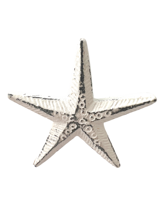 Knob-Starfish
