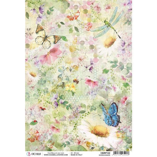 Rice Paper-Microcosmos