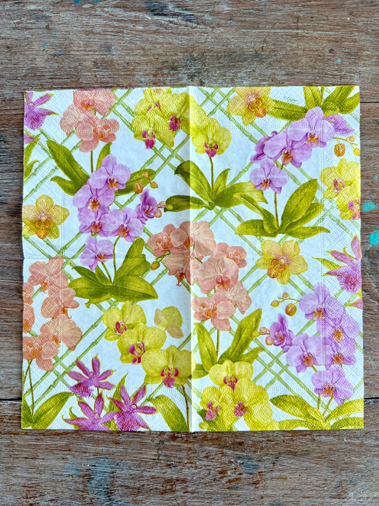 Designer Napkin-Orchid Conservatory