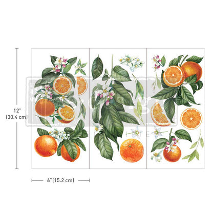 Redesign Decor Transfer- Citrus Slice- Small 3 sheets