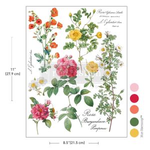 H20 Transfer-Poetry in Petals