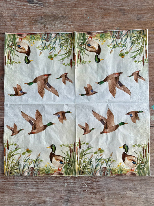 Napkin-Ducks