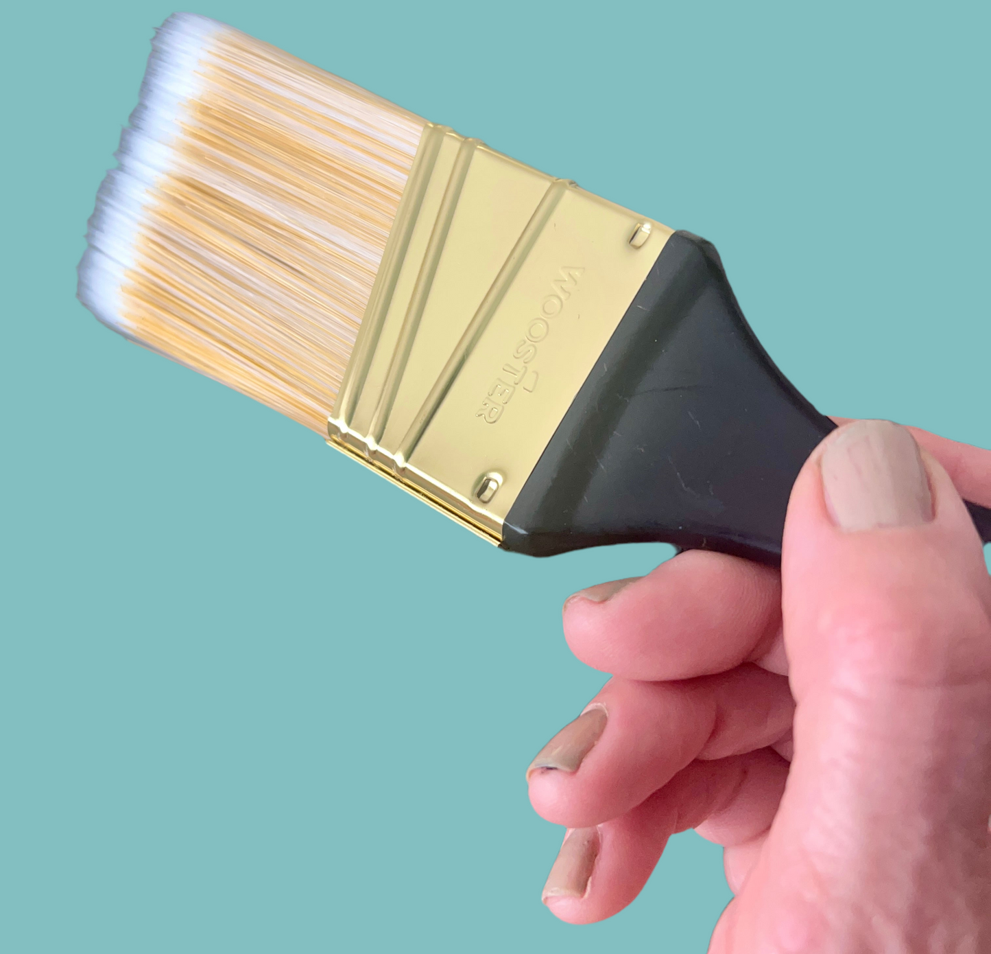 Brushes Angled Paint Brush
