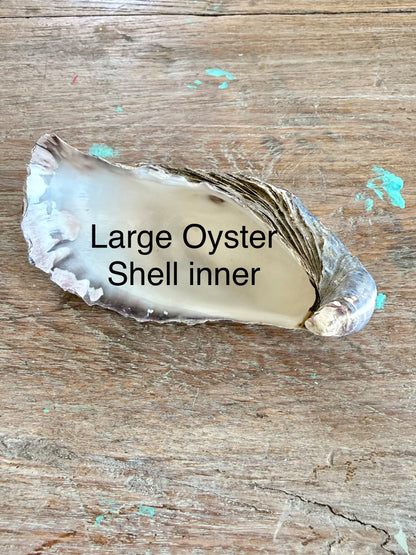 Oyster Shell x 1